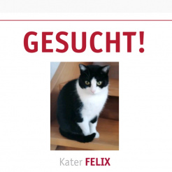 Katze Felix
