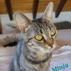 Profilbild von Minja