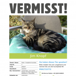 Katze Jim Knopf in Wachtberg vermisst 