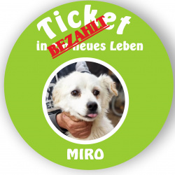 Profilbild von Miro