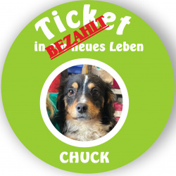 Profilbild von Chuck