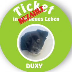 Profilbild von Duxy