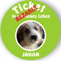 Profilbild von Jadon 