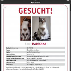 Profilbild von Madschka aus Bonn