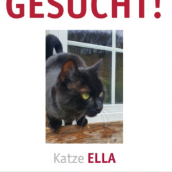 Katze Ella in Niederbreitbach vermisst