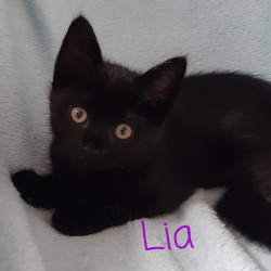 Profilbild von Lia