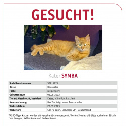 Katze Symba vermisst in Bonn